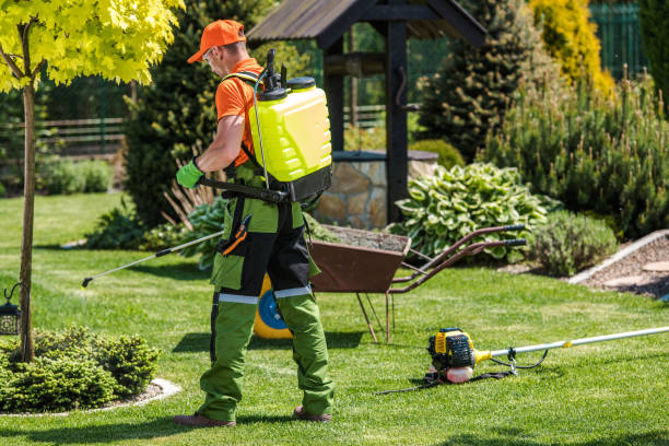 Best Lawn Pest Control  in Princeton, MO